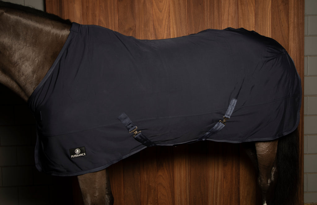 Puissance Softshell Rug