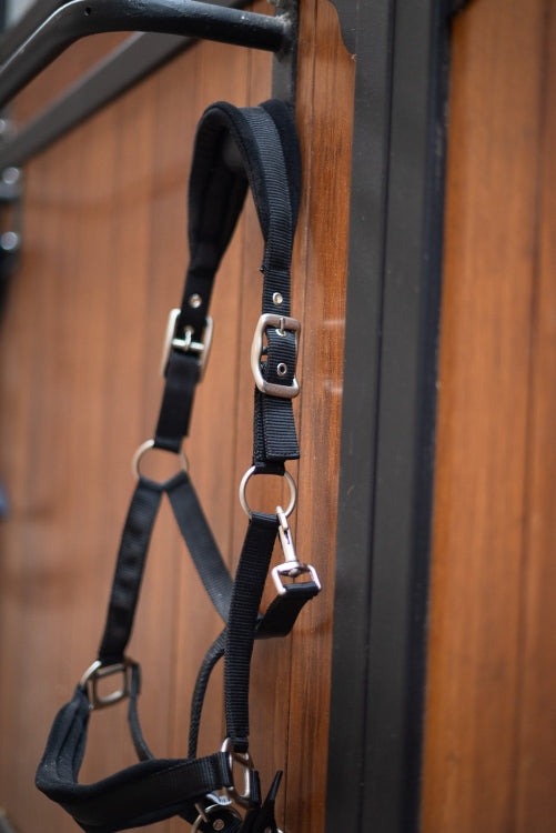 Puissance Halster nylon