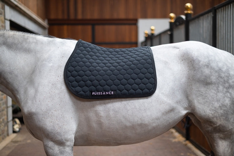 Puissance Zadeldek Ball