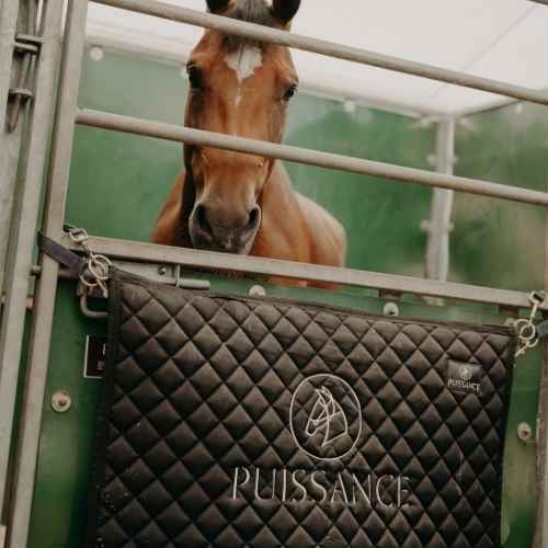 Puissance Stable Guard